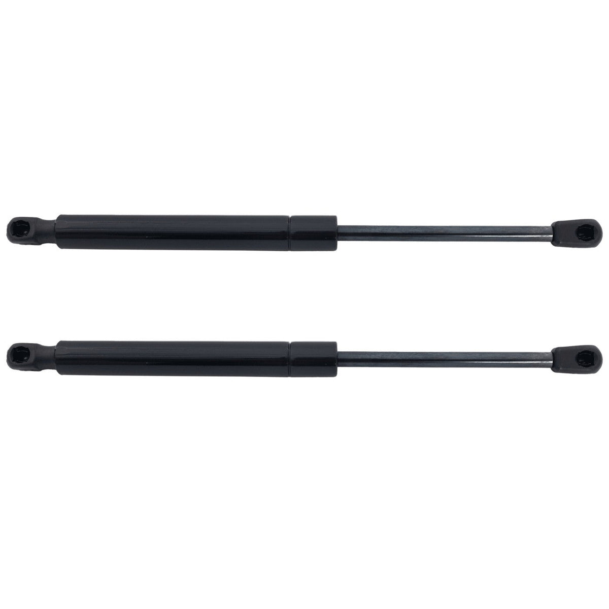 Trunk Lid Lift Supports Set of 2 for Sedan