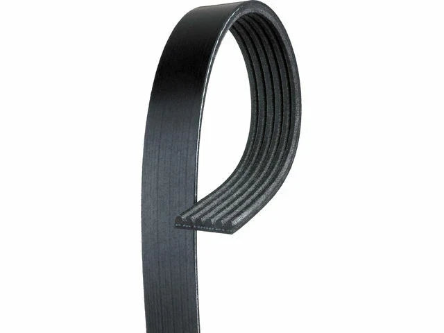 Multi Rib Belt for Mazda B3000 (2007–2008) C179HC
