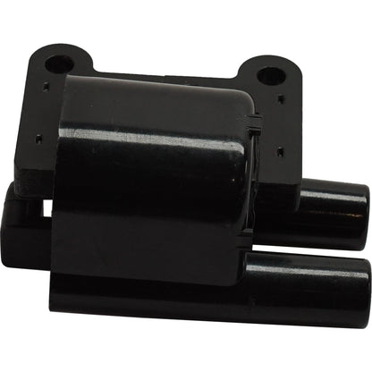 Ignition Coil Replacement for Hyundai Santa Fe (2002-2004)