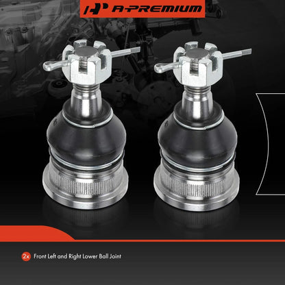 Front Lower Ball Joint Set - 2 Pieces for Nissan Sentra (2000-2006)