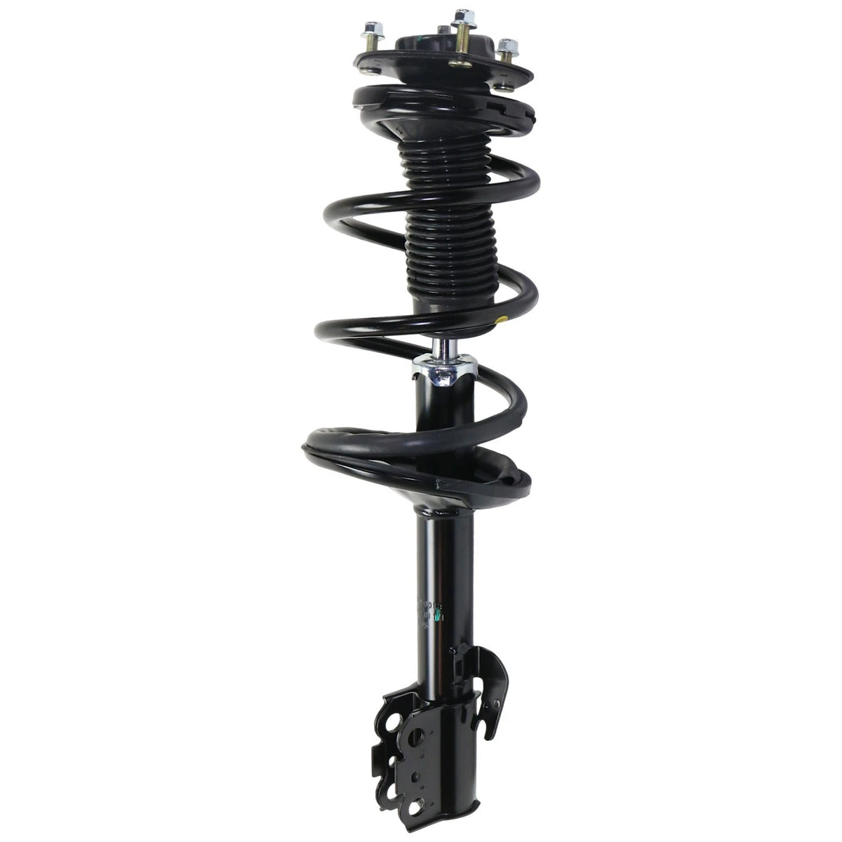 Set of 2 Loaded Struts