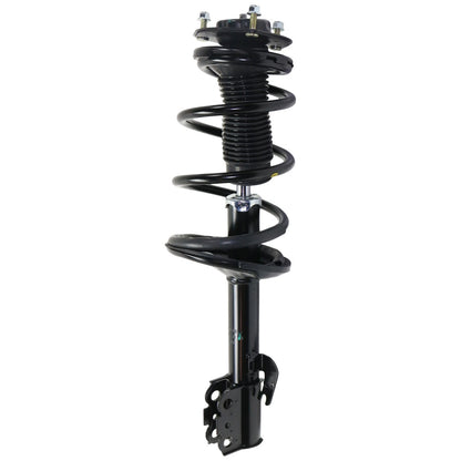 Set of 2 Loaded Struts