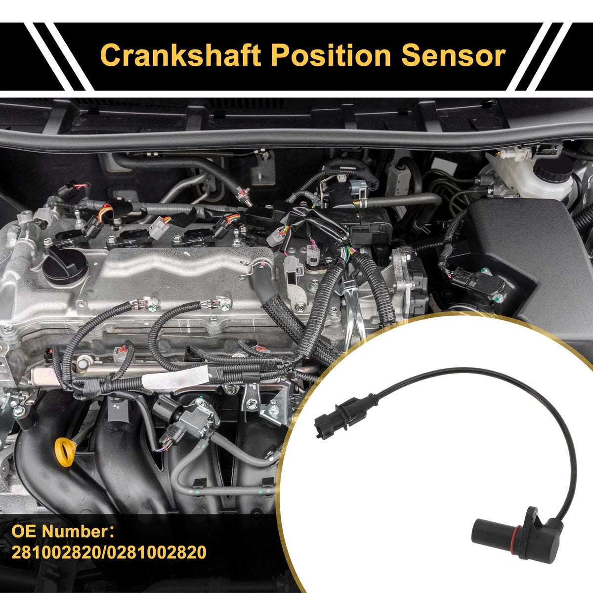 1 Pc Crankshaft Position Sensor No.281002820 for Ford Ranger (2006–2011)