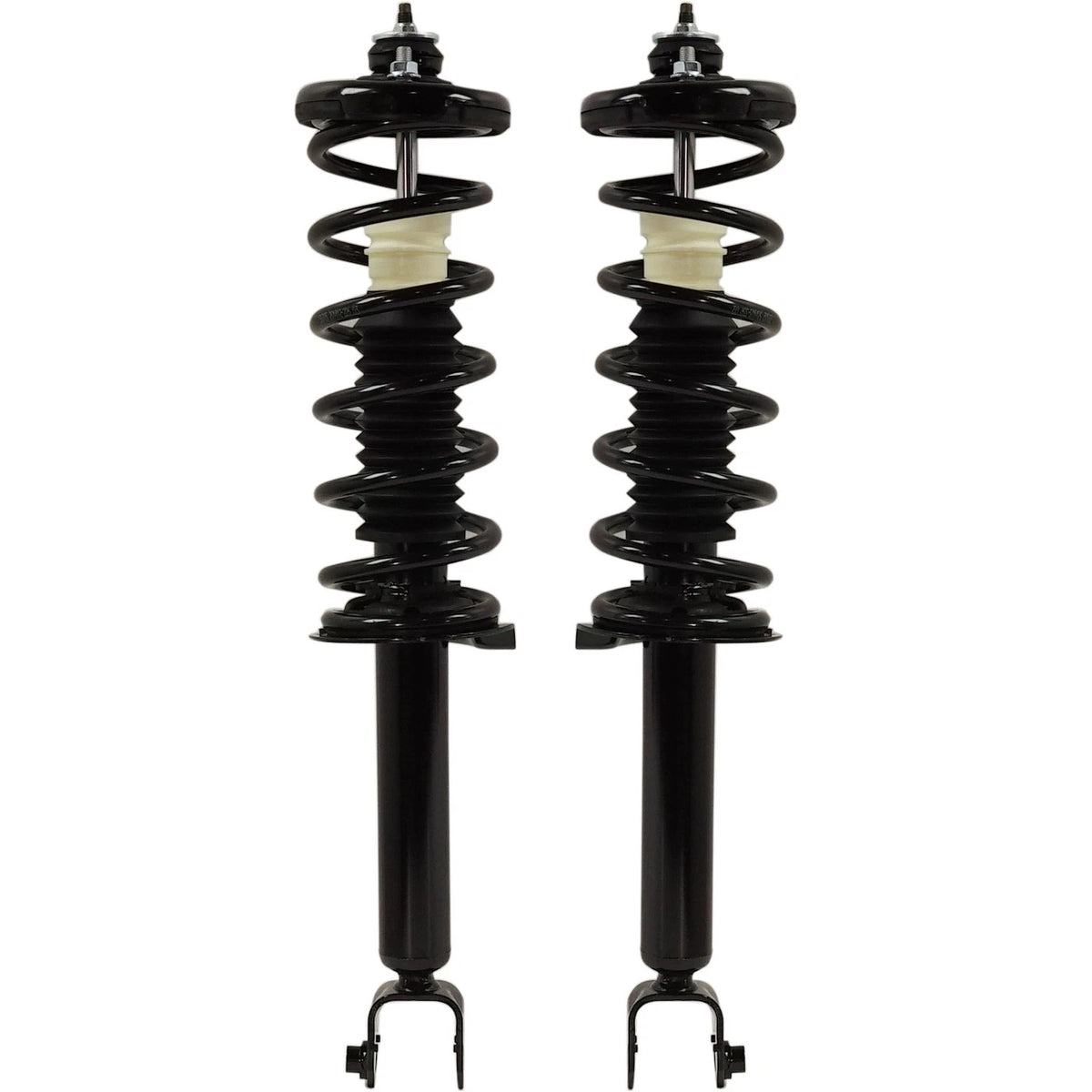 Strut Set of 2 for Acura TSX (2004–2014) - Rear Left & Right