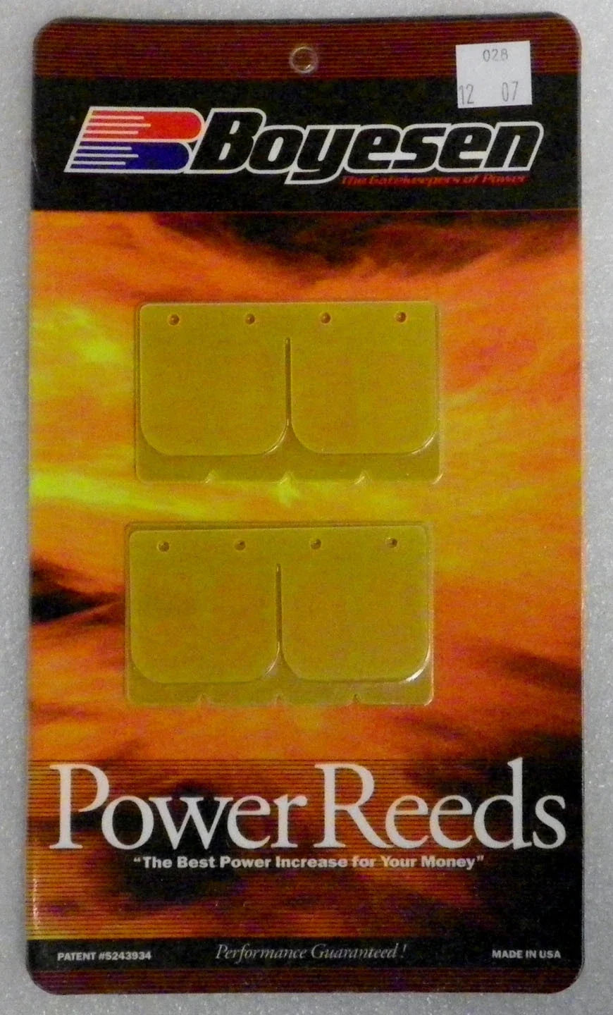 Power Reeds for Yamaha 1100 (028)