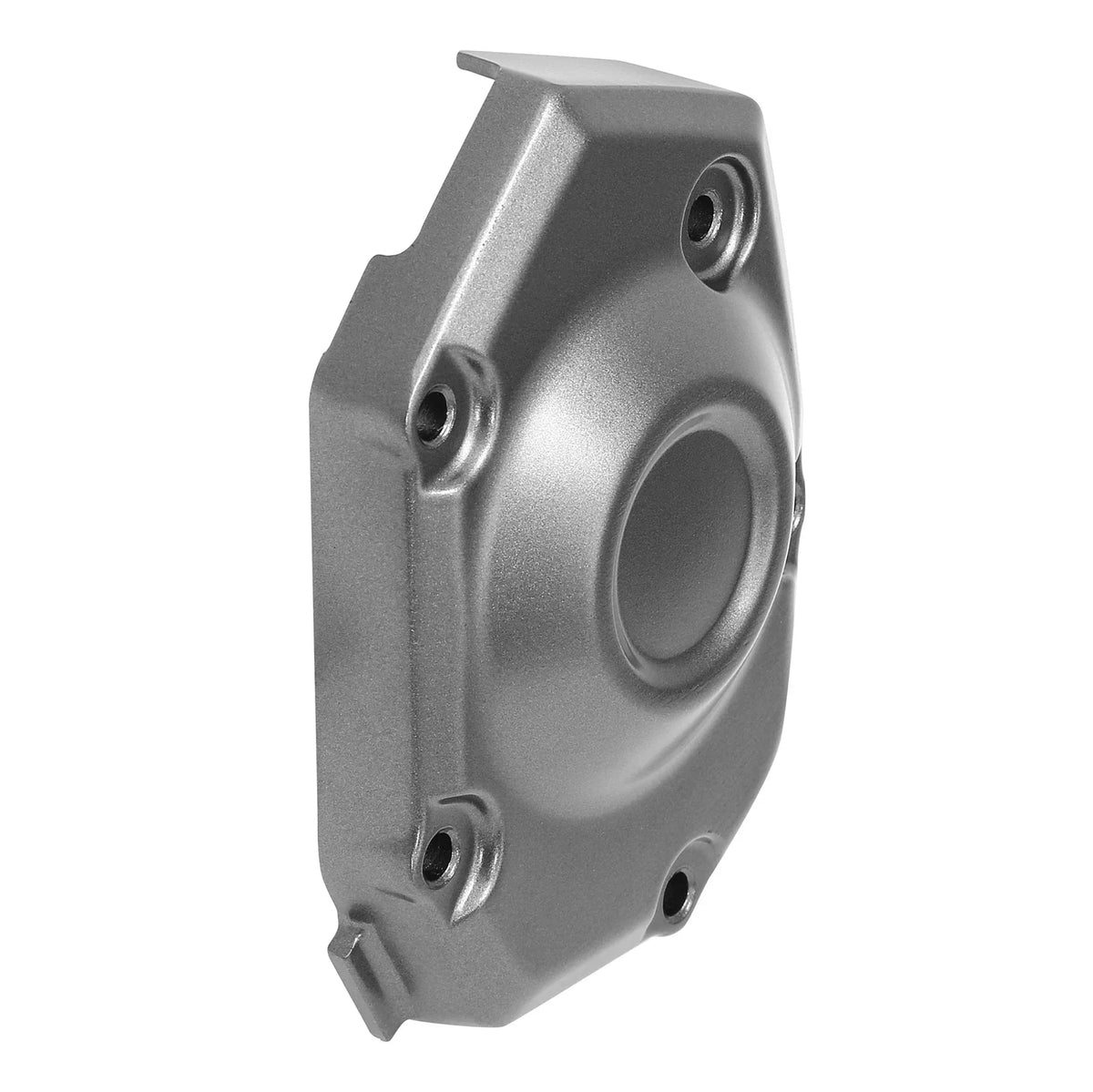 Stator Cover Case for Kawasaki Z900 ABS Side Engine (2017-2024)