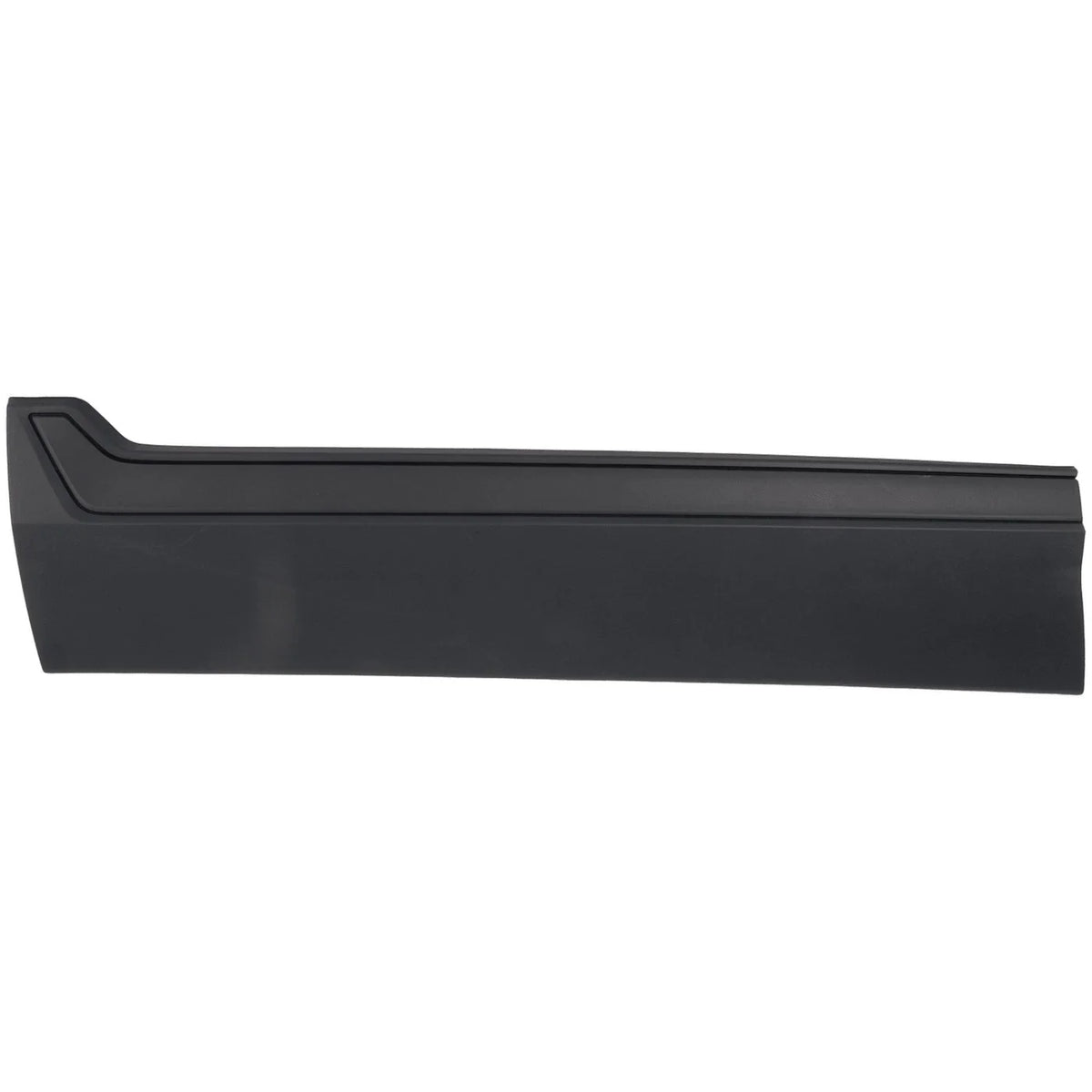 Set of 2 Door Molding for Front Driver & Passenger Side