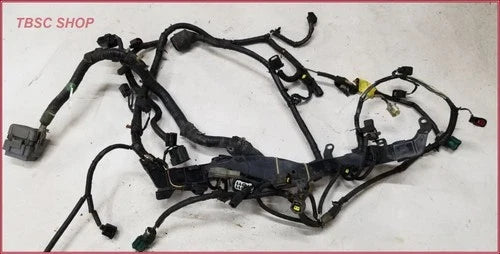 Engine Management Wiring Harness for Jaguar S-Type V6 3.0 (2000–2002)