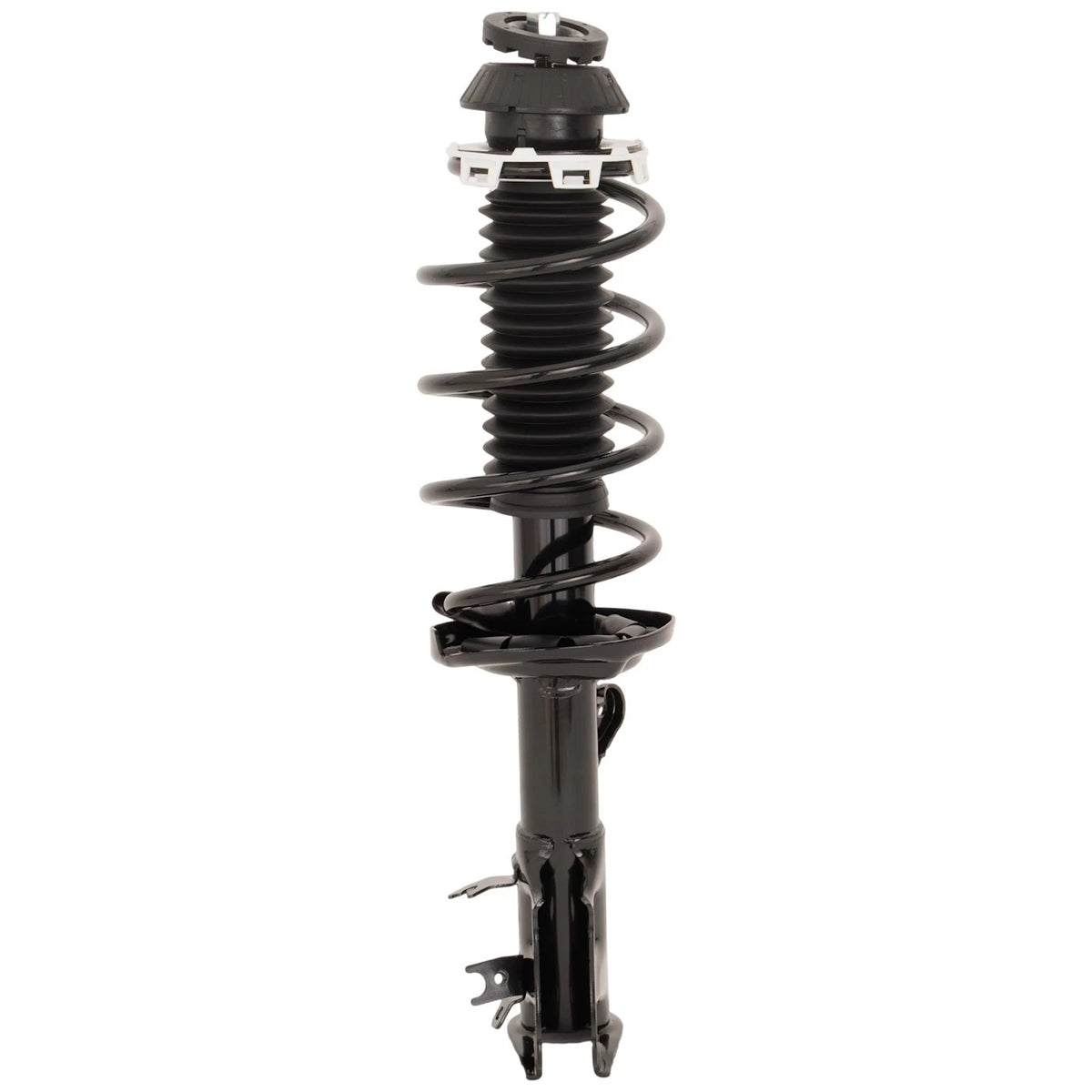 Pair Fully Loaded Strut Set