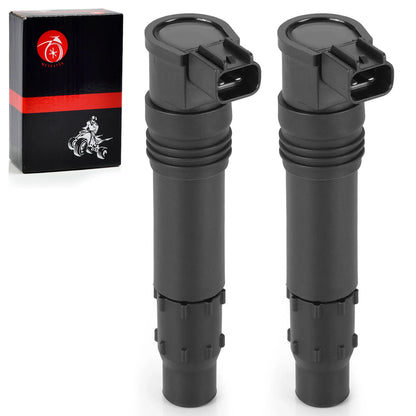 Ignition Coil Pair for Kawasaki ER-6N ER650 (2009–2010) | #129700-4180