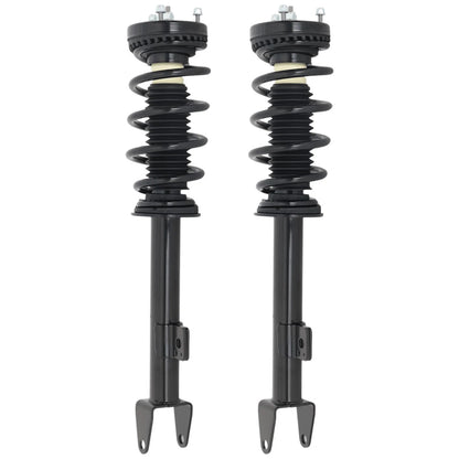 Set of 2 Loaded Struts