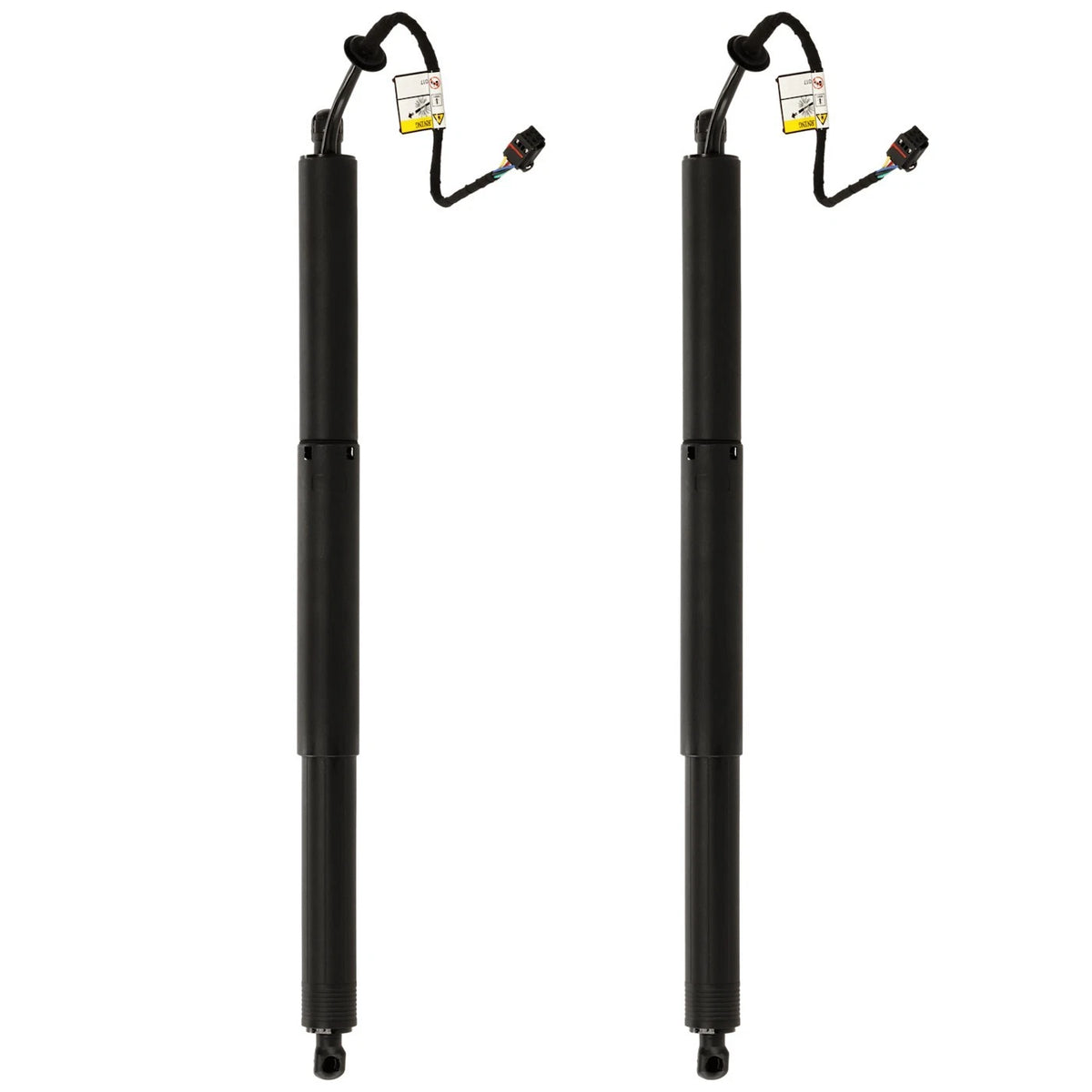 Set of 2 Liftgate Lift Supports for