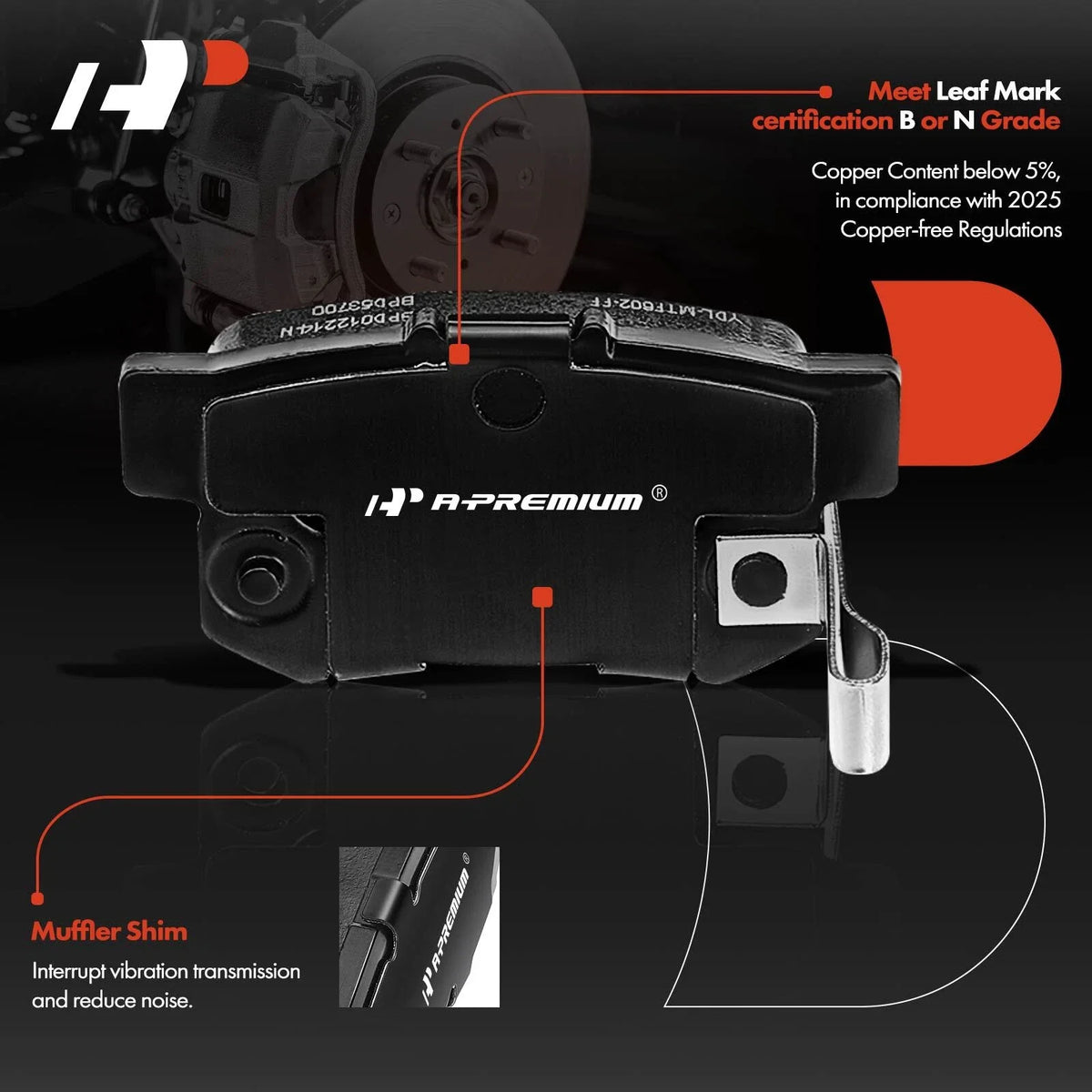 Drilled Rear Rotors, Brake Pads & Wheel Hubs for Honda Accord