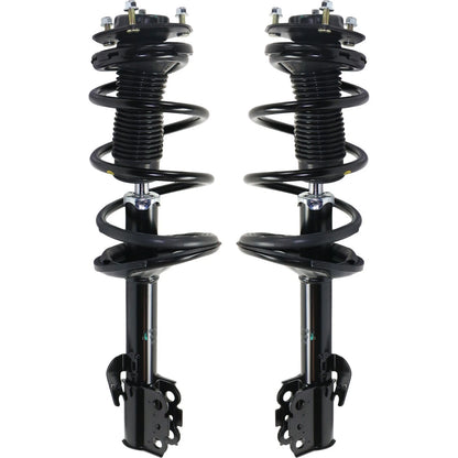 Set of 2 Loaded Struts