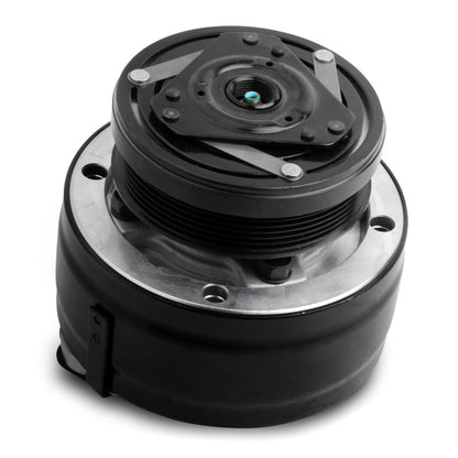 A/C Compressor with Clutch for Holley 199-100 Model