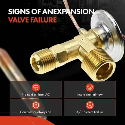 A/C Expansion Valve for Nissan Sentra (1982 to 1990)