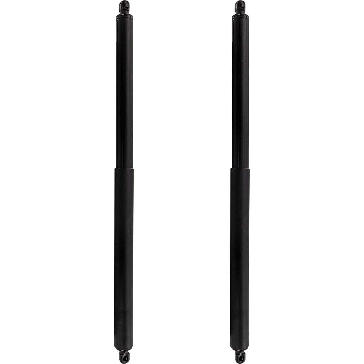 Set of 2 Hatch Lift Supports for Ford