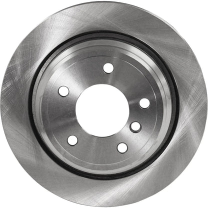 Brake Disc Rotors Rear for BMW 5 Series E60 E39