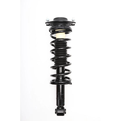 Strut Assembly for - Rear Left/Right Side