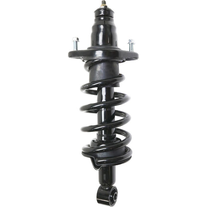 Set of 2 Loaded Struts