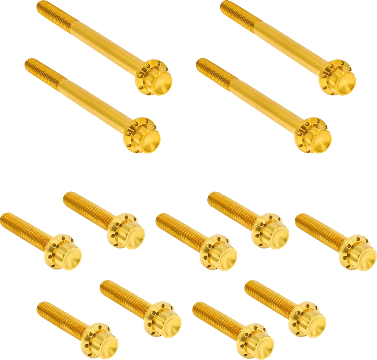 Bolt Kit for Harley Davidson Softail (Titanium, 12-Point)