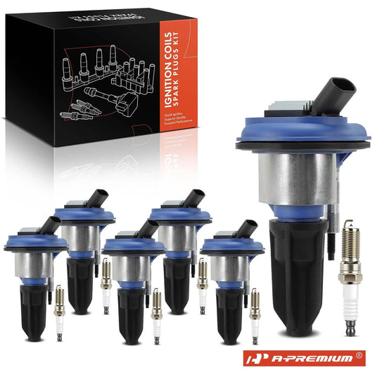 Set of 6 Ignition Coils & 6 Iridium Spark Plugs for GMC Envoy Buick Rainier (2002–2009)