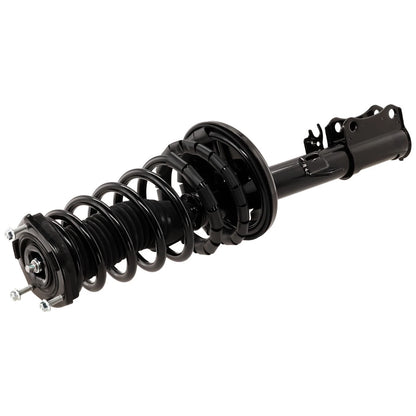 Strut Set of 4 for