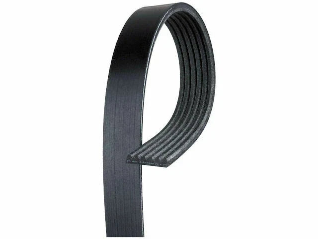 Multi Rib Belt for Mazda B3000 (1998–2008) D859MW