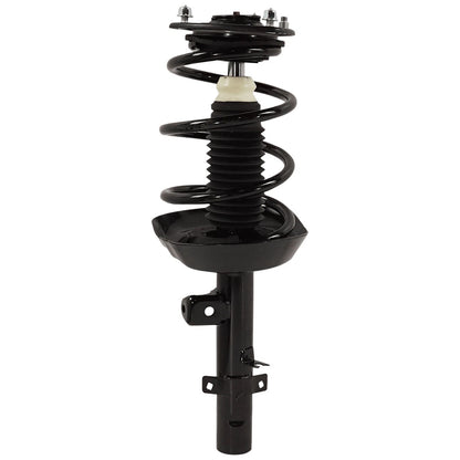 Pair of Fully Loaded Struts