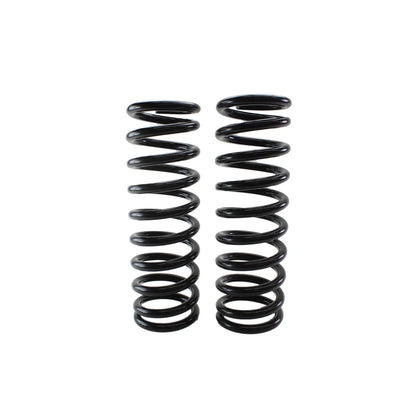 Heavy Duty Front Coil Spring Kit for Buick (4112186)