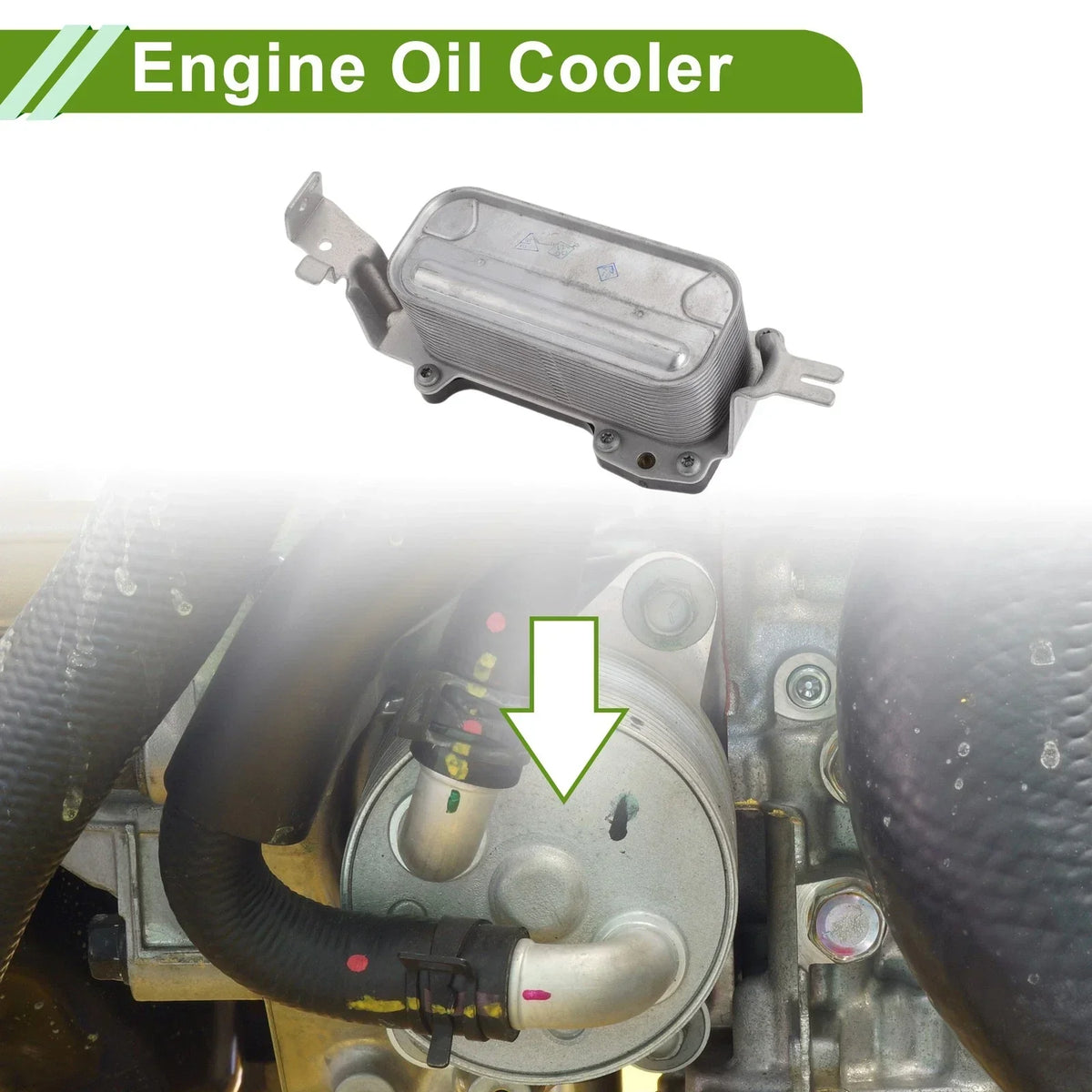 Oil Cooler for BMW 550i (2009-2016)