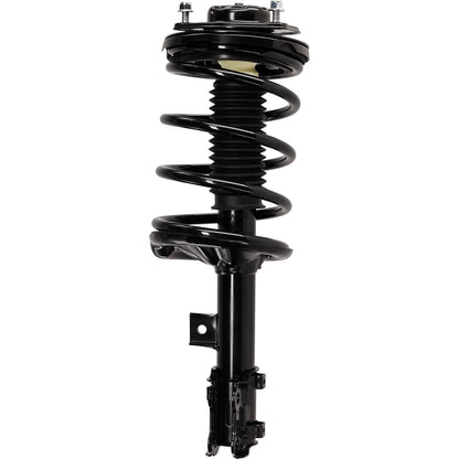 Set of 2 Struts