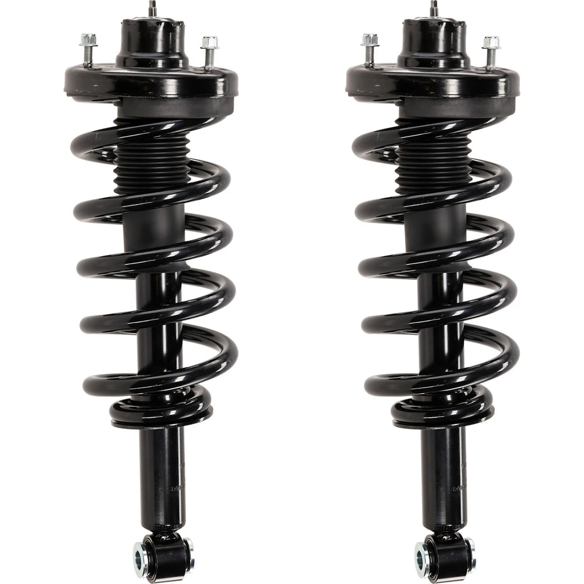 Pair Fully Loaded Strut Set