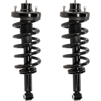 Pair Fully Loaded Strut Set