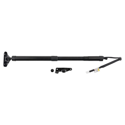 Lift Support Struts for Rear Tailgate on Toyota Highlander 2014-2019