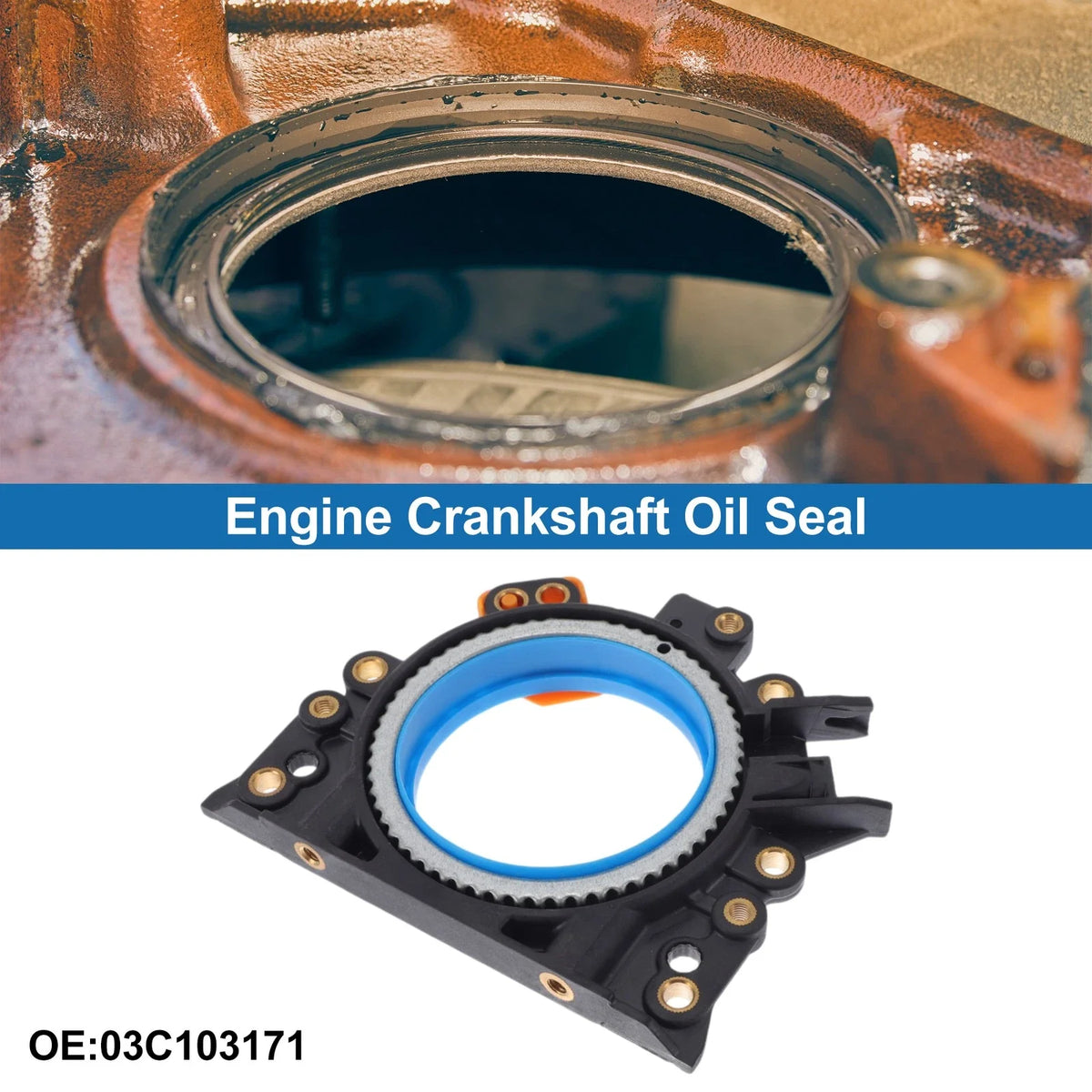 Rear Crankshaft Oil Seal for Volkswagen CC (2011–2016) No. 03C103171