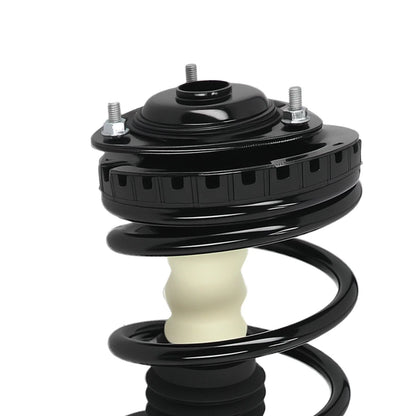Rear Coil Springs and Struts Assembly for Forester 1998-2002