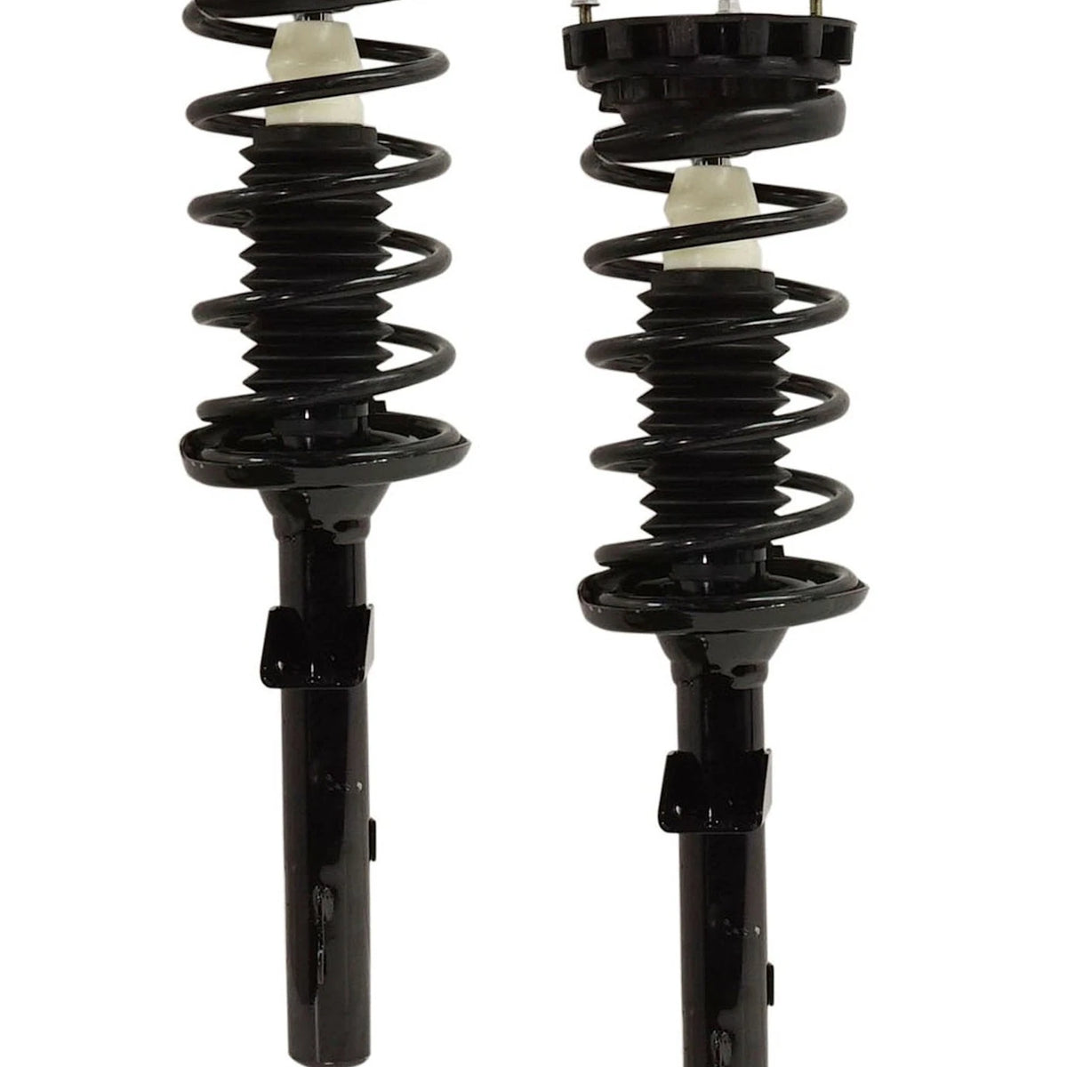 Strut Set of 2 for Sedan (Rear Driver & Passenger Side)