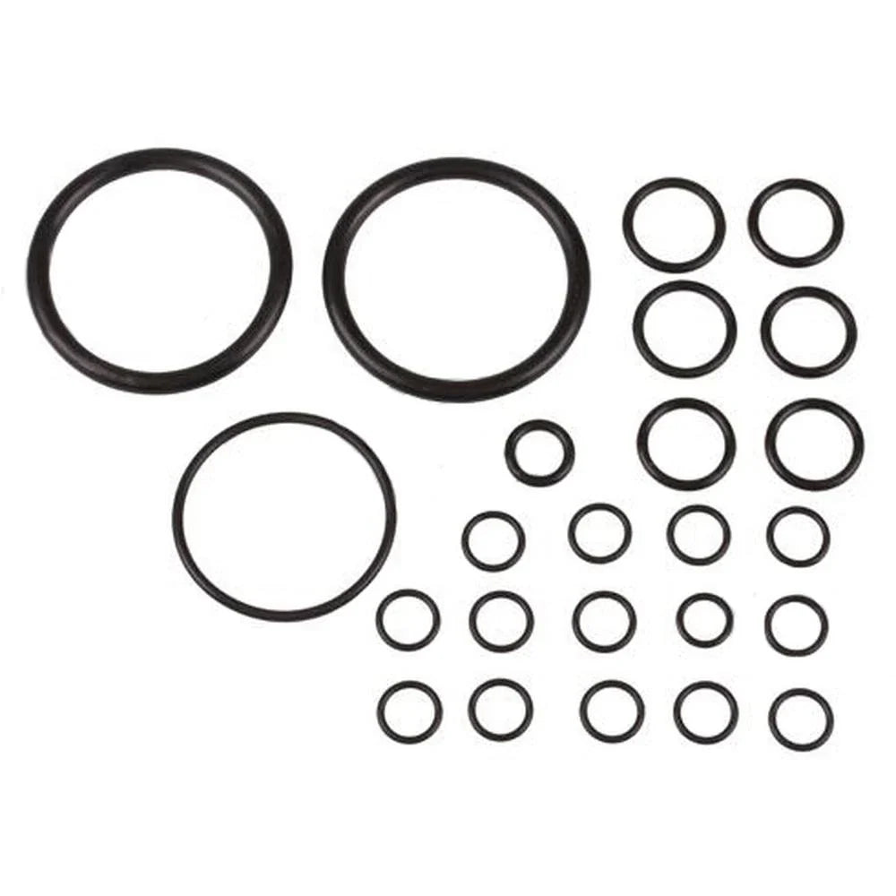 O-Ring Kit for Massey Ferguson Tractors (894906M91)