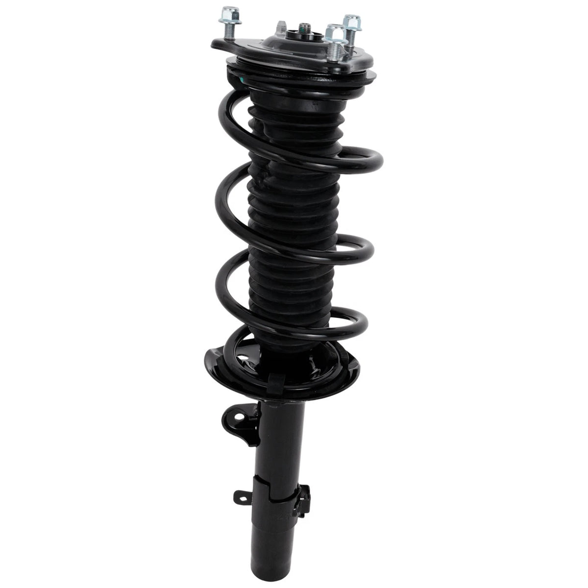 Strut Set of 2