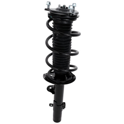 Strut Set of 2