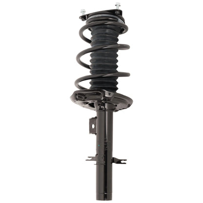Set of 2 Loaded Struts