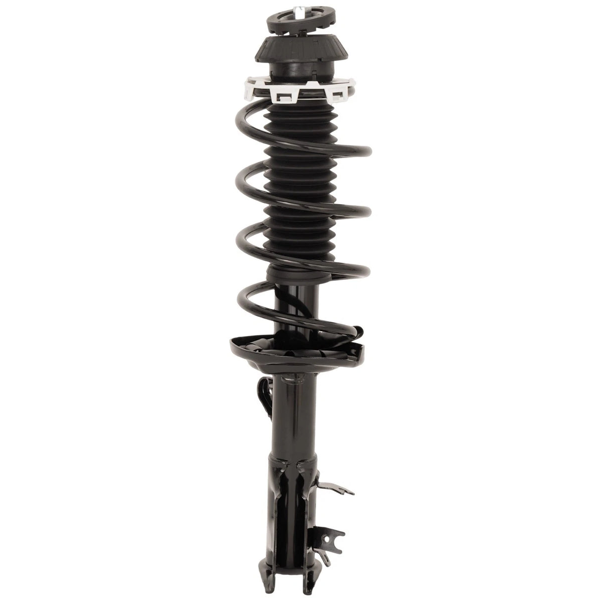 Pair Fully Loaded Strut Set