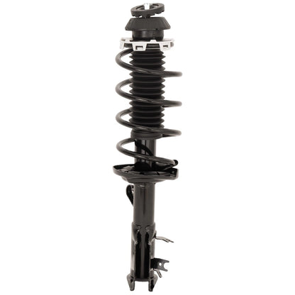 Pair Fully Loaded Strut Set