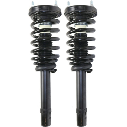 Strut Set of 2