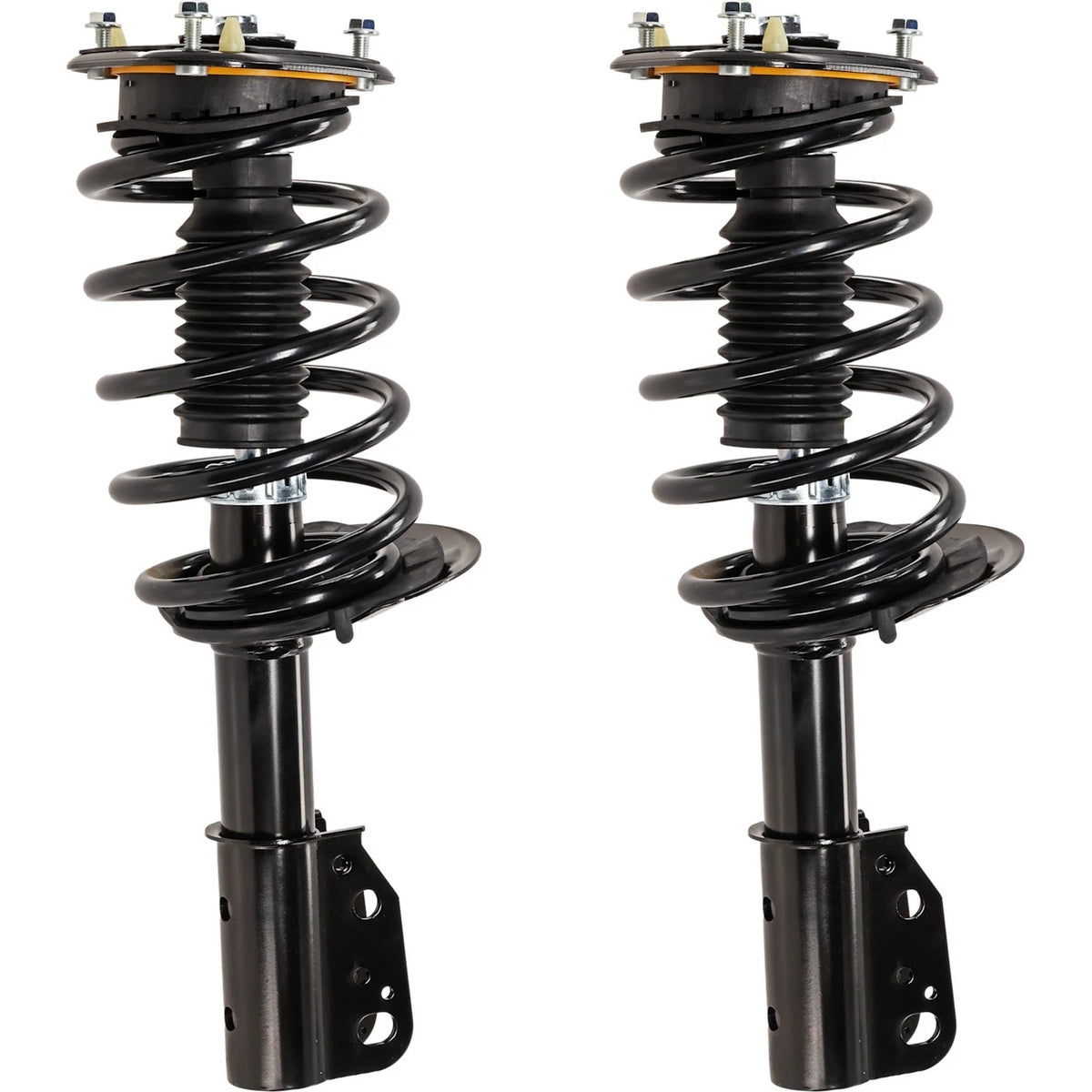 Strut Set of 2 for