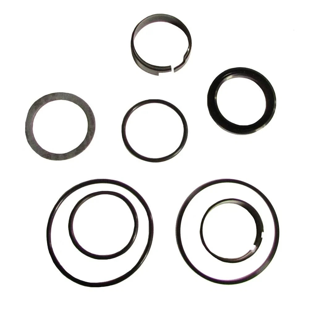 Hydraulic Cylinder Seal Kit for Case D42872 (Fits )