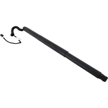 Liftgate Lift Support for VW (5NA827851A)