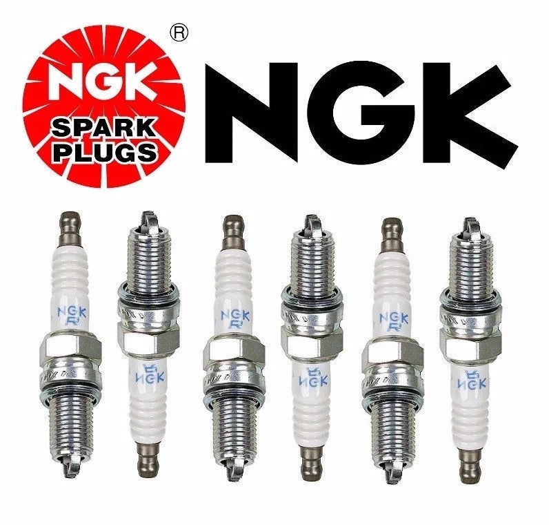 Set of 6 NGK Double Platinum Spark Plugs for BMW E46 M3 E36 Z3 (1998–2006)