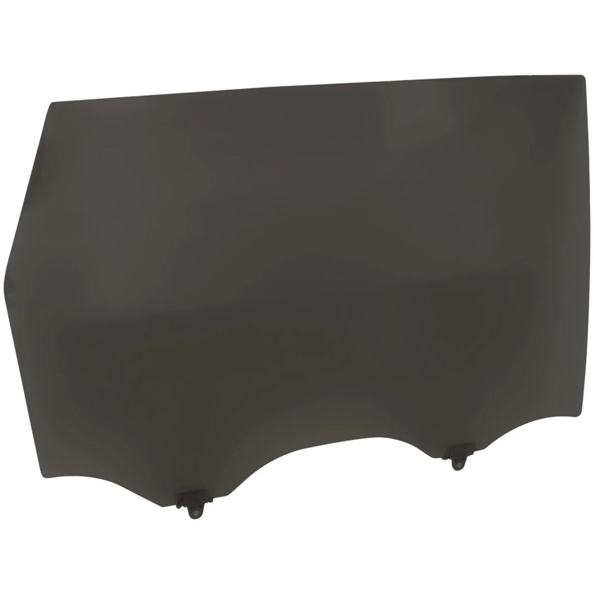 Door Glasses Set of 2 for Nissan